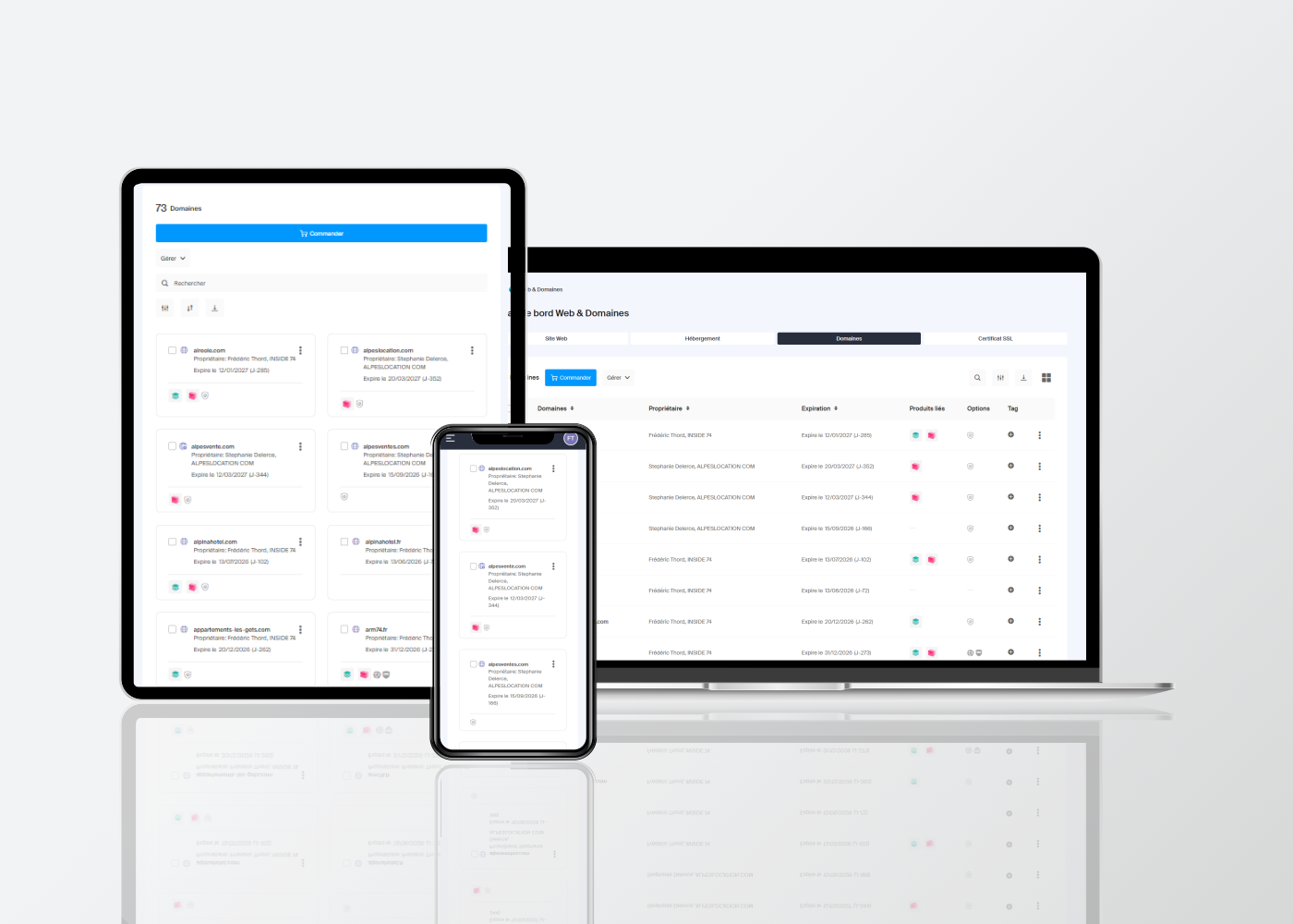 Gestion de noms de domaines internet